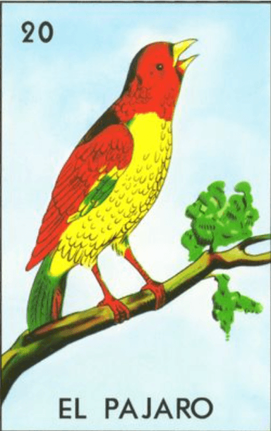 elpajaro